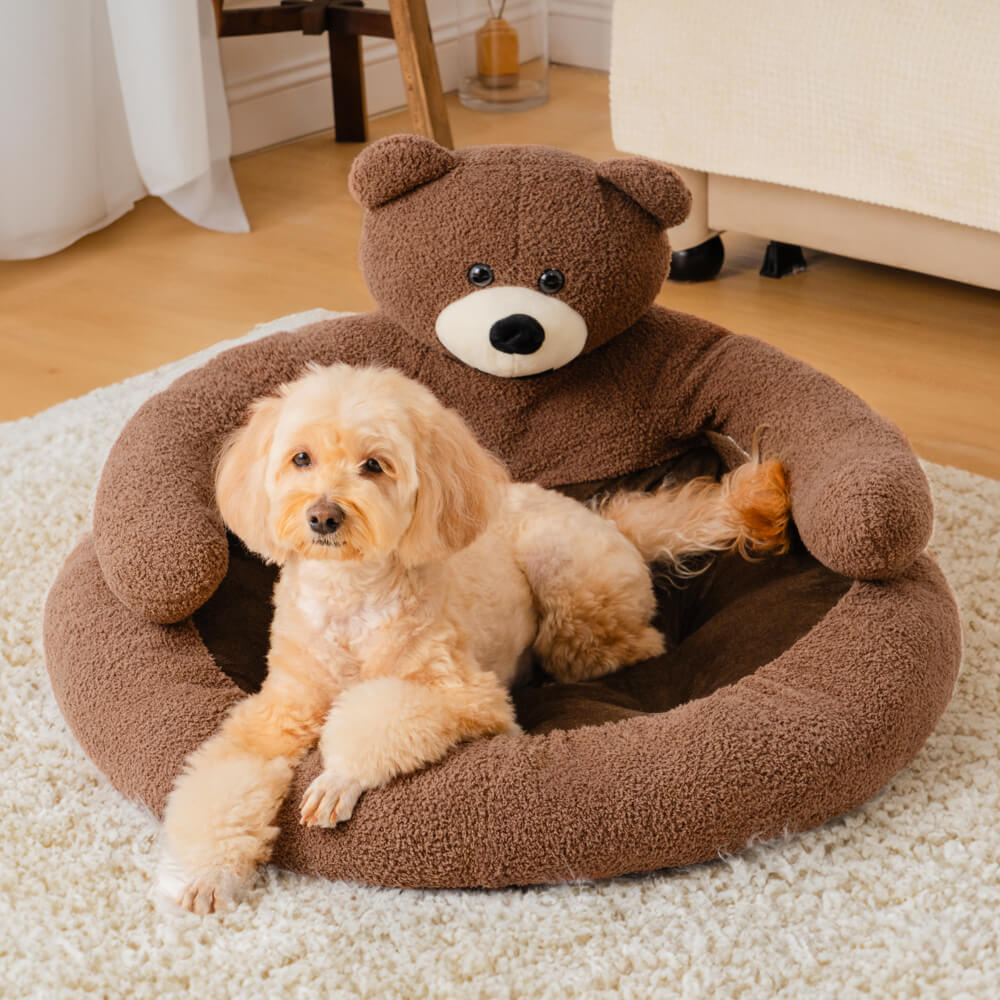 Linda cama de gato de oso de abrazo desmontable