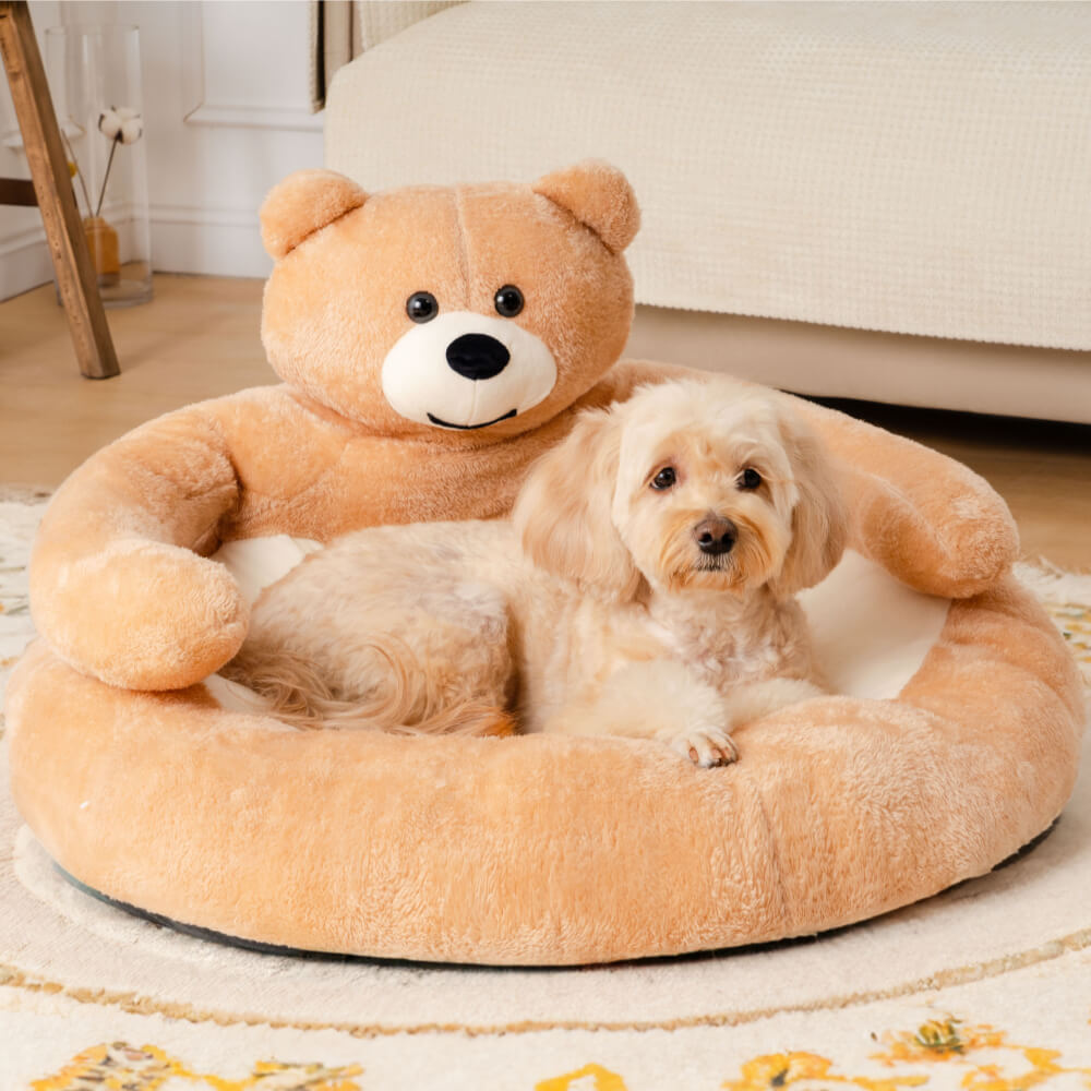 Linda cama de gato de oso de abrazo desmontable
