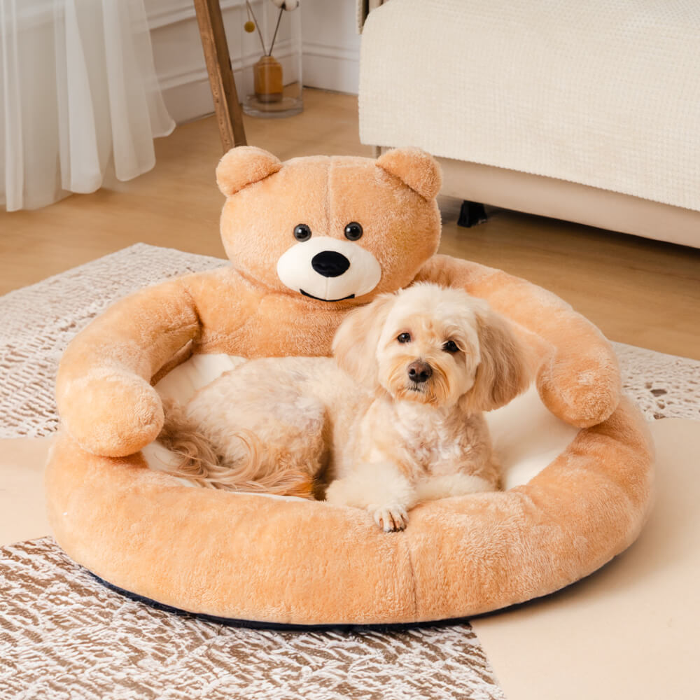 Linda cama de gato de oso de abrazo desmontable