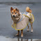 Impermeable reflectante ajustable con perros de bolsillo para perros que coinciden con la estadía del impermeable