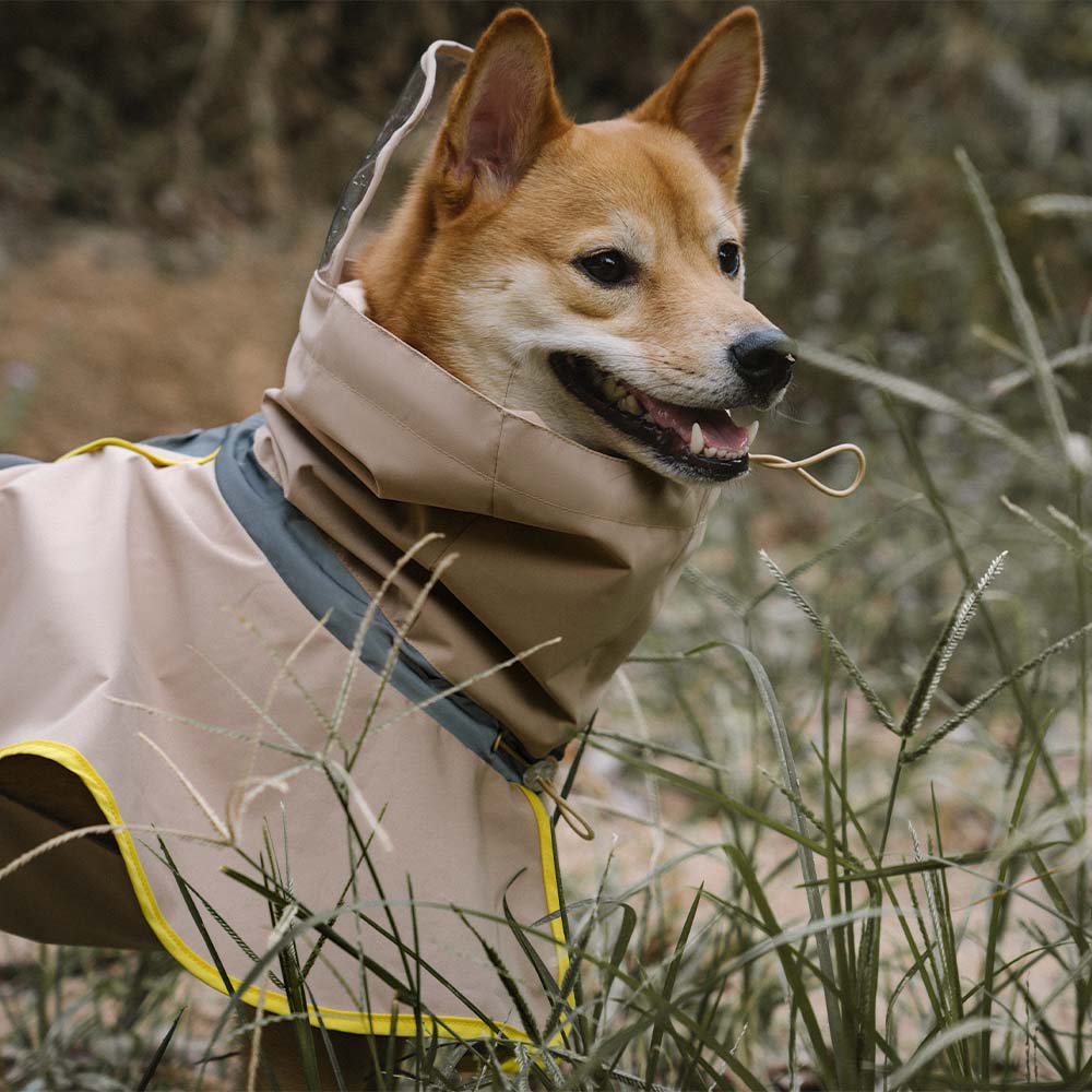 Impermeable reflectante ajustable con perros de bolsillo para perros que coinciden con la estadía del impermeable