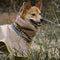 Impermeable reflectante ajustable con perros de bolsillo para perros que coinciden con la estadía del impermeable