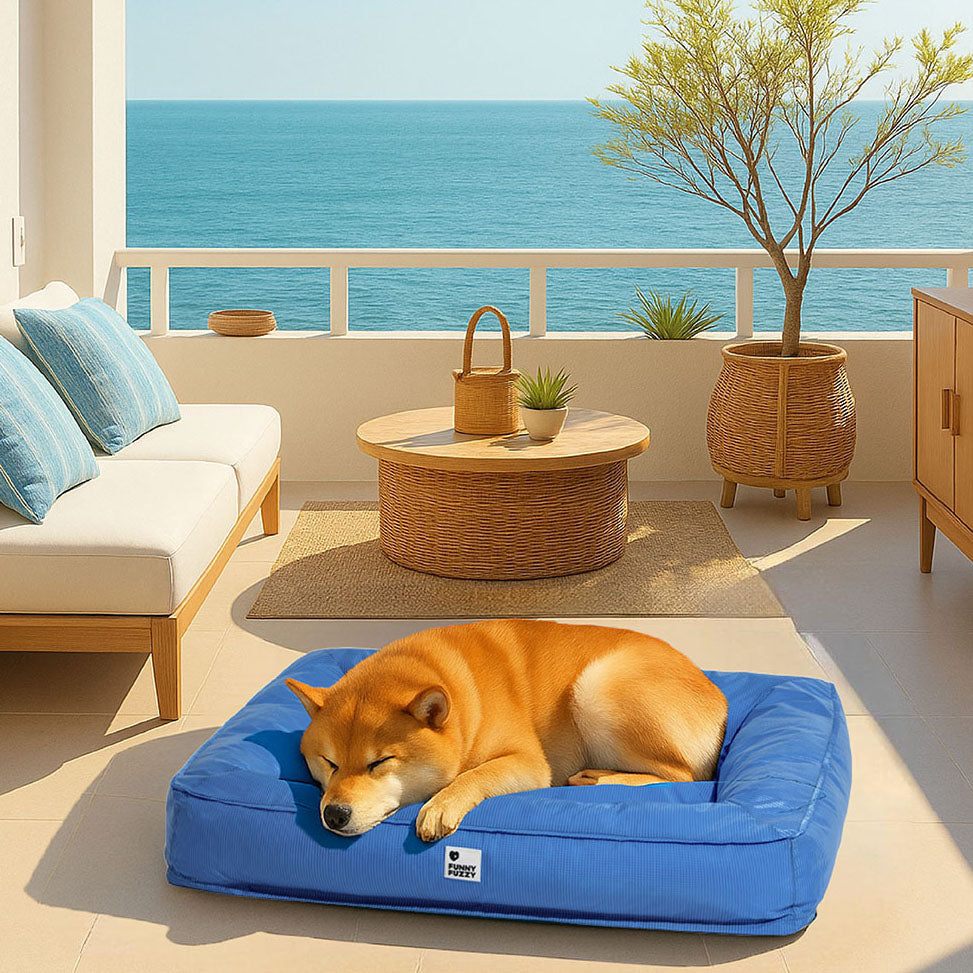 Vollständig orthopädisches, rundumstützendes, wasserdichtes Hundebett für große Hunde