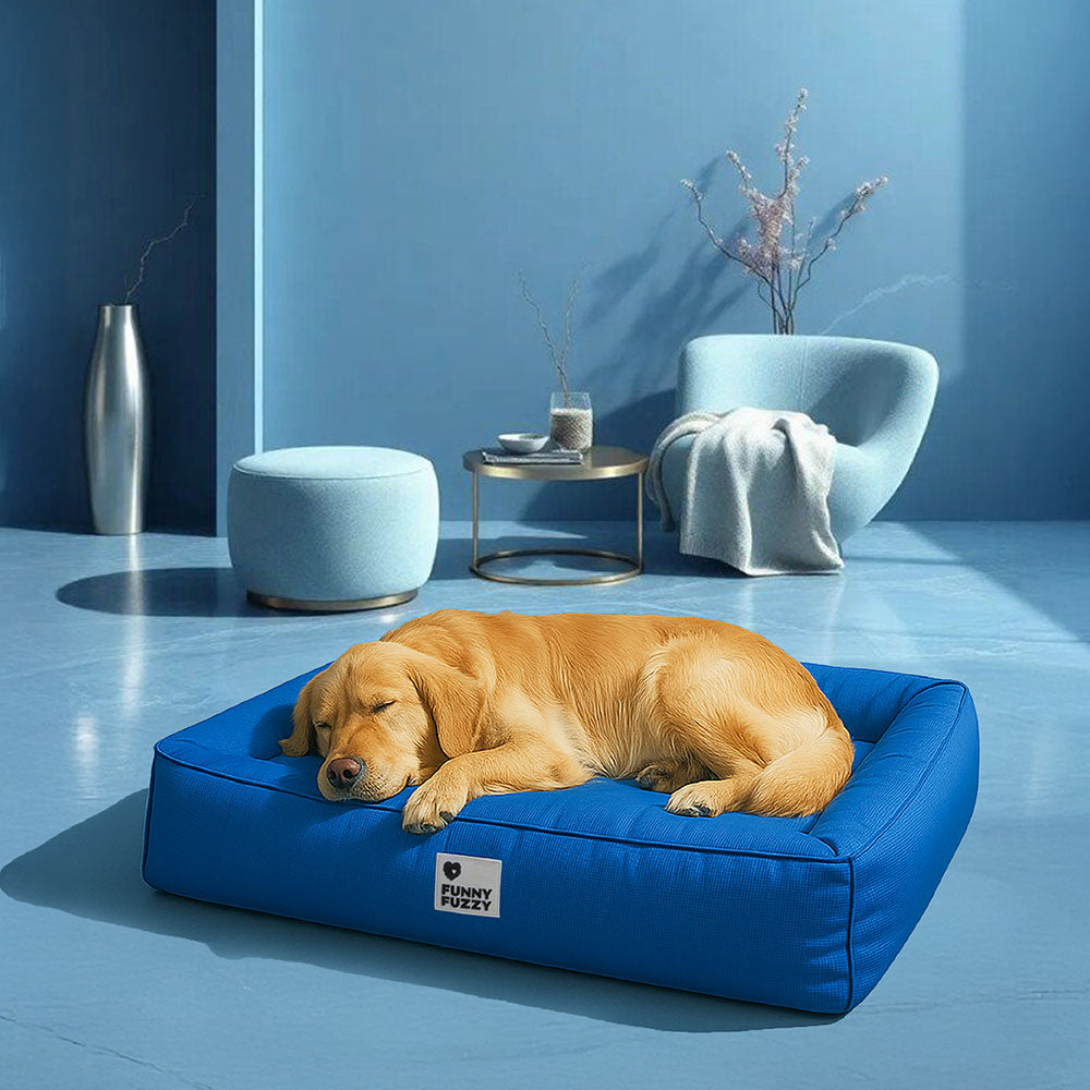 Vollständig orthopädisches, rundumstützendes, wasserdichtes Hundebett für große Hunde