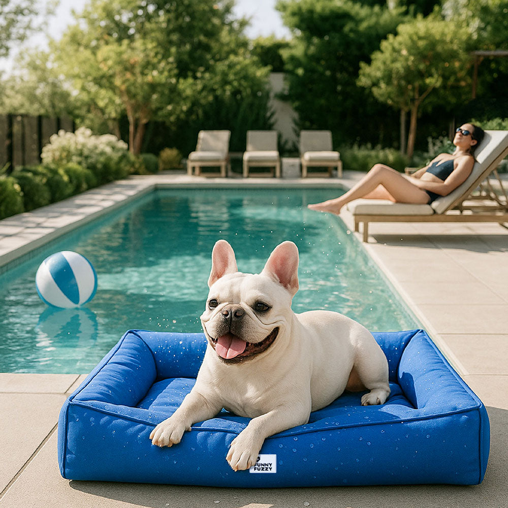 Vollständig orthopädisches, rundumstützendes, wasserdichtes Hundebett für große Hunde