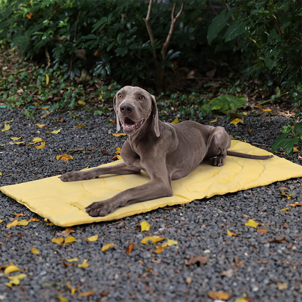 Faltbare, wasserdichte, tragbare Hunde-Autositzmatte, Hunde-Campingmatte