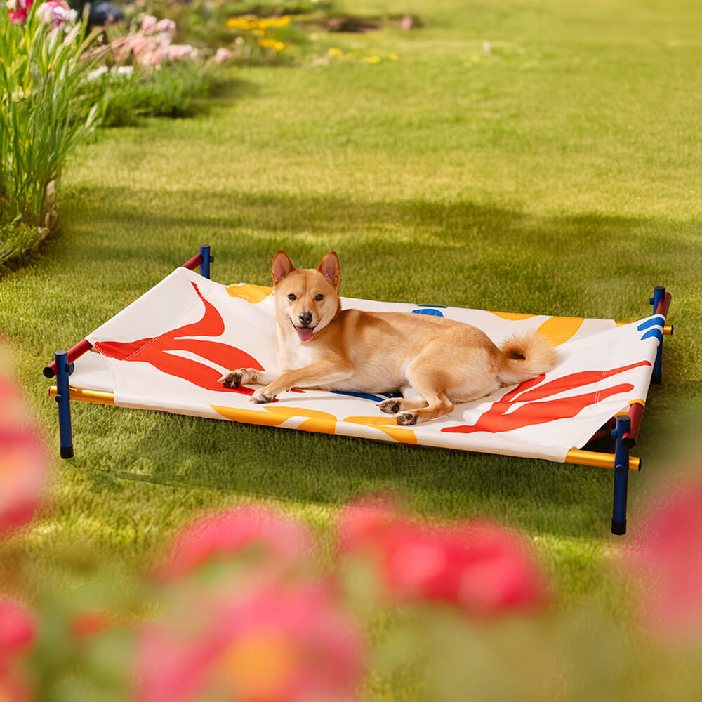 Lit pour chien surélevé en aluminium de style imprimé d'été vibrant - Summer Paradise