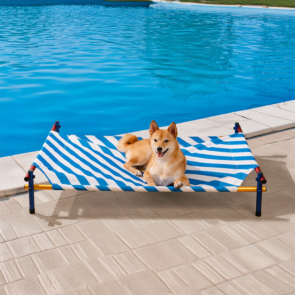 Lit pour chien surélevé en aluminium de style imprimé d'été vibrant - Summer Paradise