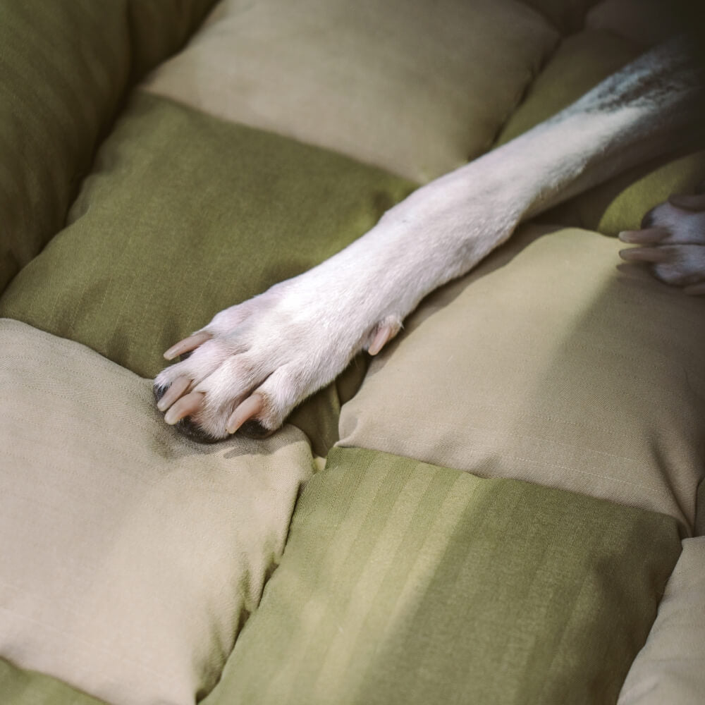 Traversin de voyage siège arrière de sécurité pour grand chien, siège de voiture, salon en échiquier