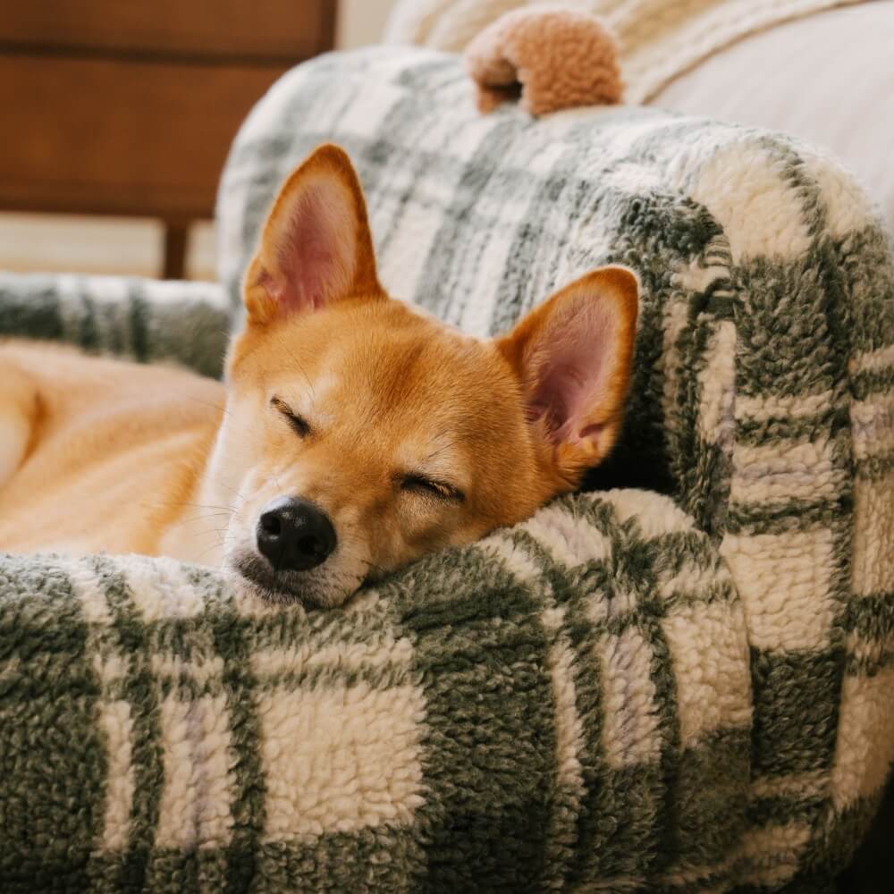 Waschbares, gemütliches, unterstützendes und beruhigendes Sofabett für Hunde und Katzen im Vintage-Stil