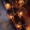 Luzes LED Luzes de corda USB para renas e flocos de neve de Natal