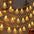 Luzes LED Luzes de corda USB para renas e flocos de neve de Natal