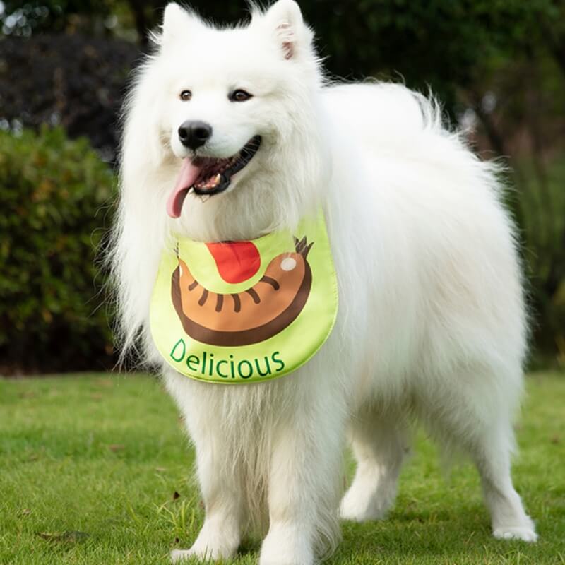 Pet Necklefief impermeable accesorios para perros fríos babero