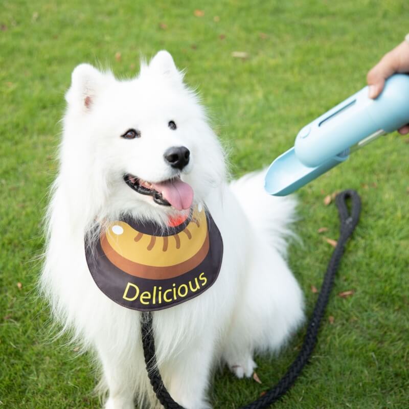 Pet Necklefief impermeable accesorios para perros fríos babero