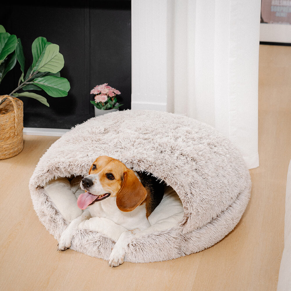 Beruhigendes halbgeschlossenes Haustiernest-Pita-Bett aus Plüsch für Hunde