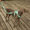 Arnês para cachorro de goma
