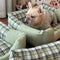 Gingham Leisure extraíbles de refugio engrosado en cama de perro y gato