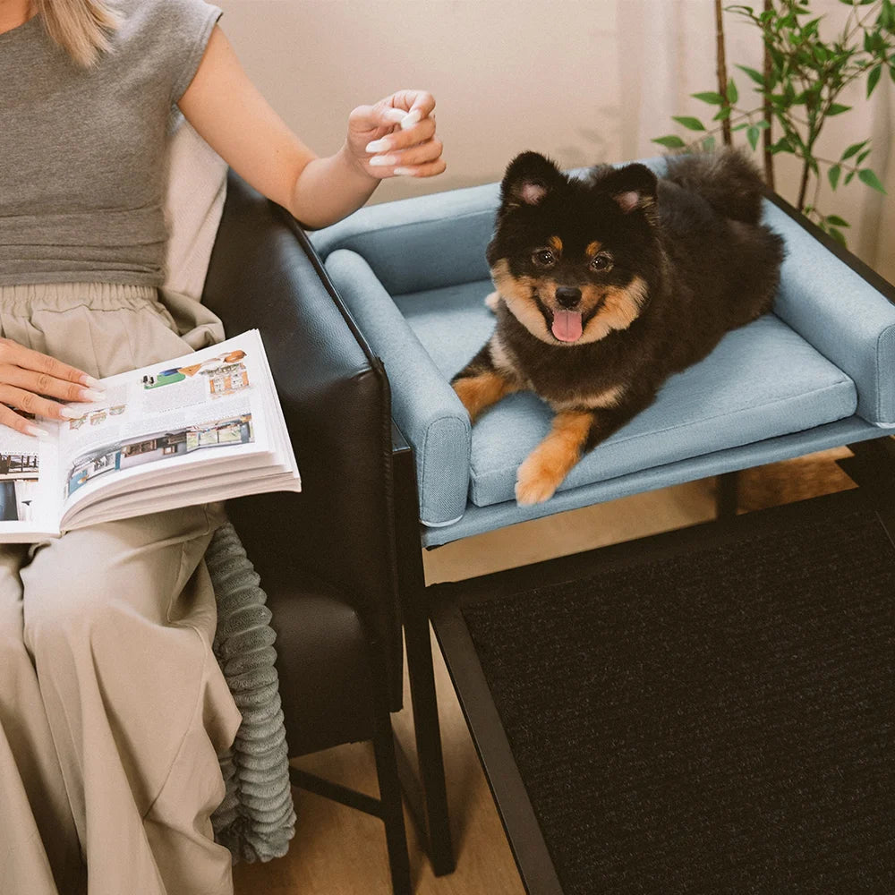 Elevated Pet Sofa Bed with Stairs Ramp for Bedside Lounge or Dog Window Perch