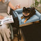 Elevated Pet Sofa Bed with Stairs Ramp for Bedside Lounge or Dog Window Perch
