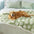 Cloud Flocked Waterproof Multi-Functional Sherpa Dog Blanket