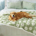 Cloud Flocked Waterproof Multi-Functional Sherpa Dog Blanket