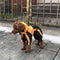 Oxford Fabric Dog Water Dog Cubra de cobertura completa con piernas y capucha