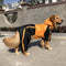 Oxford Fabric Dog Water Dog Cubra de cobertura completa con piernas y capucha