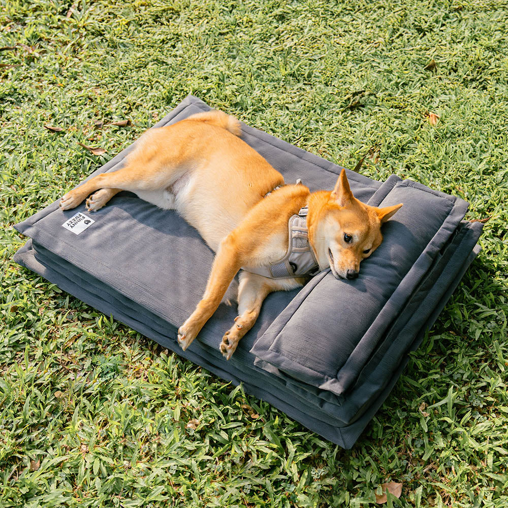 Anti-ansiedad con soporte de esponja cama para perros dormido profundo