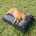 Anti-ansiedad con soporte de esponja cama para perros dormido profundo