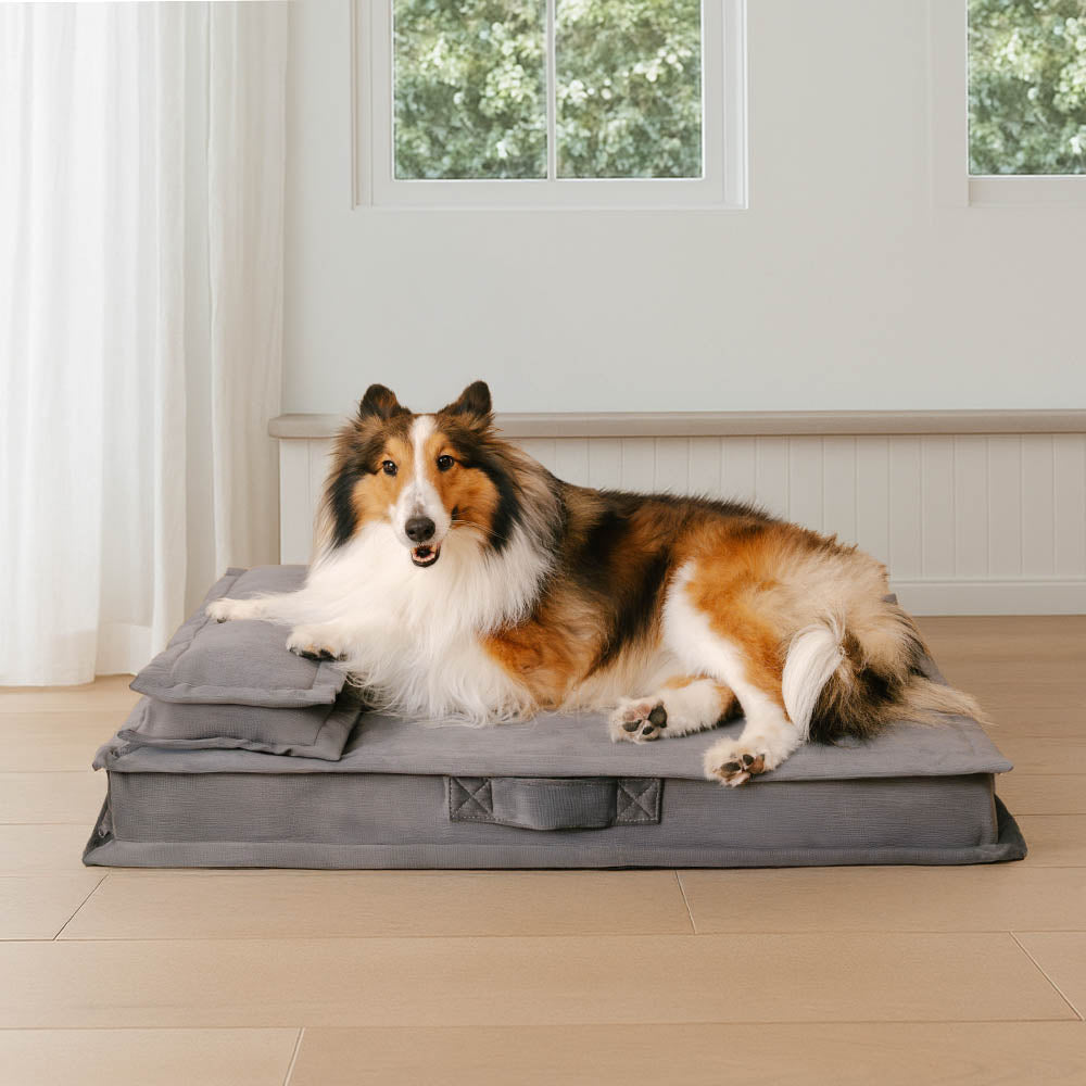 Anti-ansiedad con soporte de esponja cama para perros dormido profundo