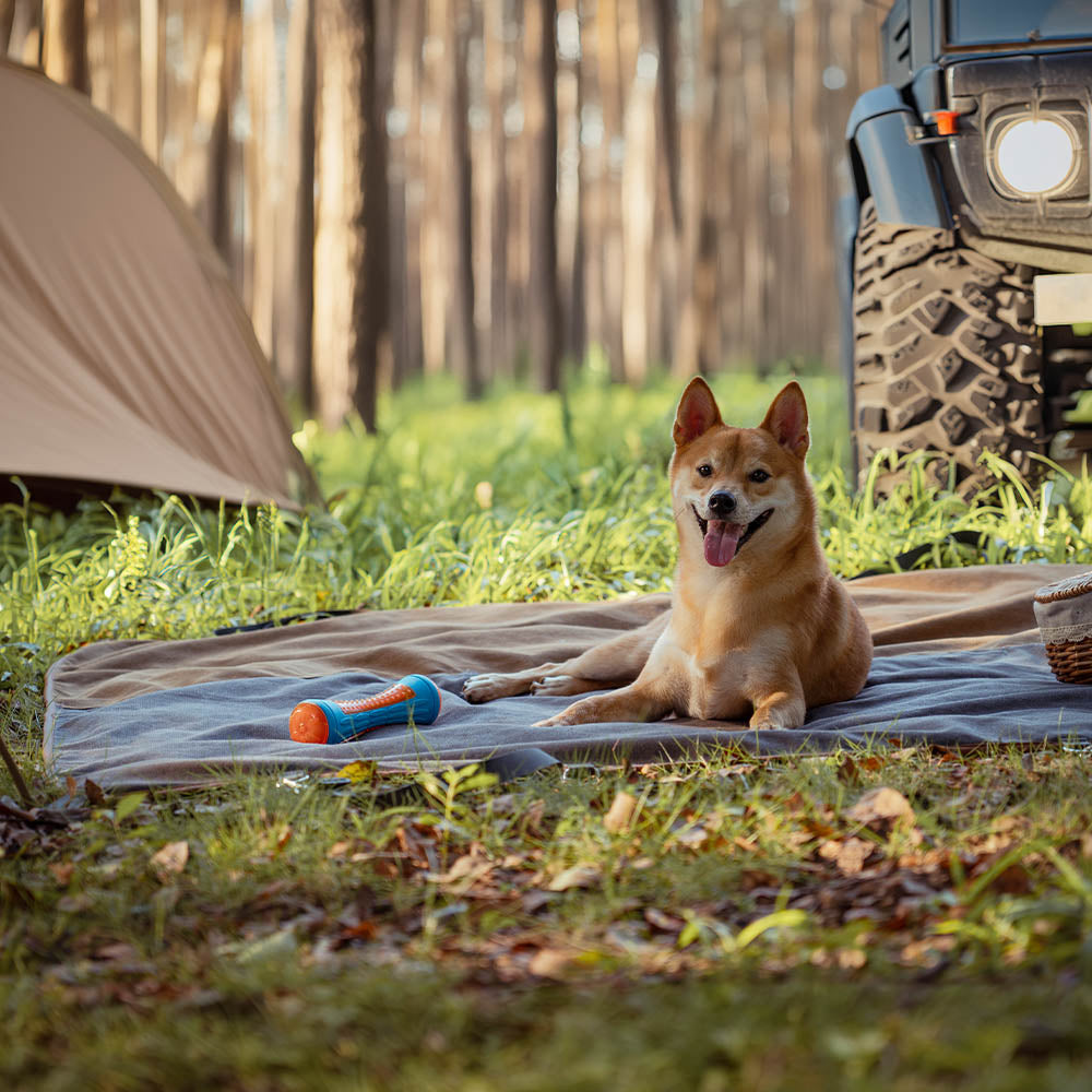 Classic Retro - Camping impermeable y tapa del asiento trasero de doble uso del automóvil