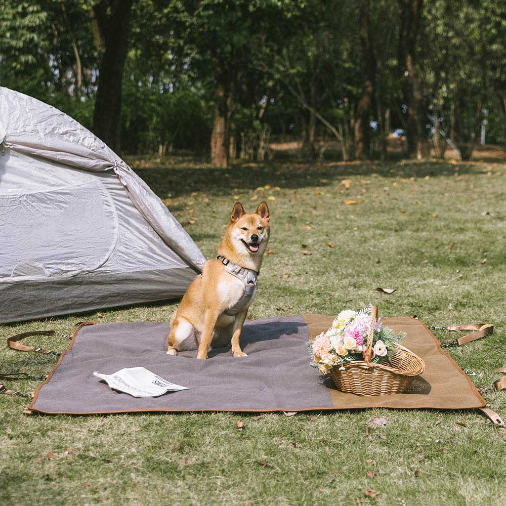 Classic Retro - Camping impermeable y tapa del asiento trasero de doble uso del automóvil