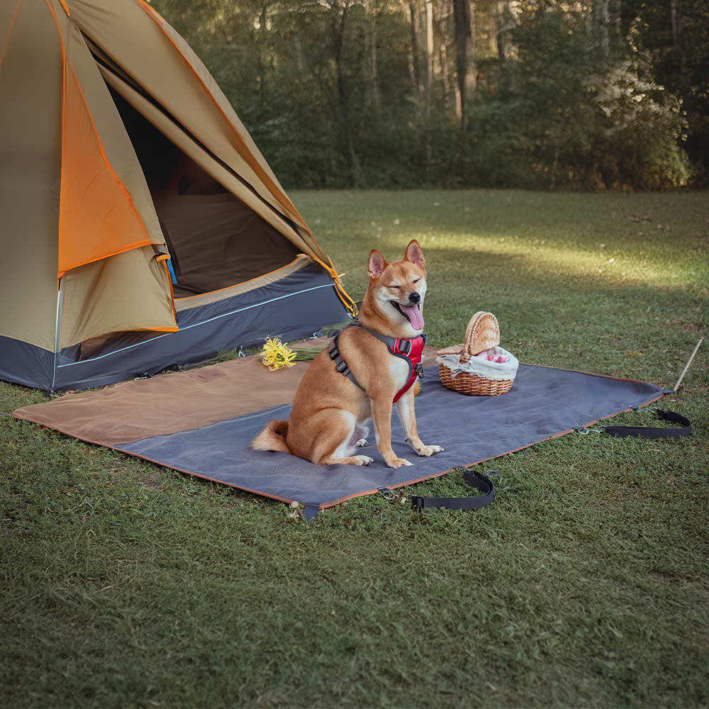Classic Retro - Camping impermeable y tapa del asiento trasero de doble uso del automóvil