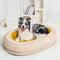 Cama de perro ortopédico de donut esponjoso