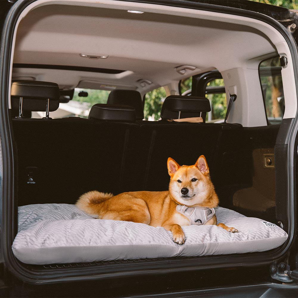 Dual-Sided Cozy Plush Washable Calming Dog Mat