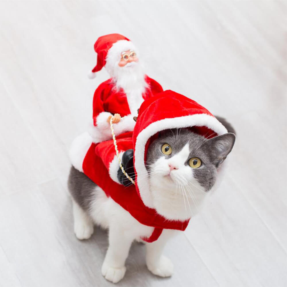 Costume de chien Cosplay pour animaux de compagnie, fête de noël, père noël