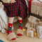 Écharpe tricotée de noël, chaussettes assorties pour animal de compagnie et propriétaire
