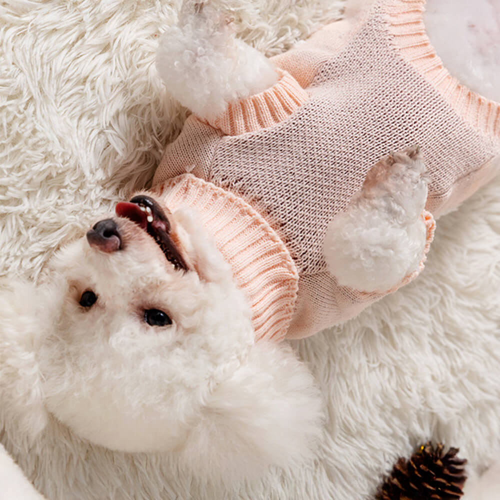 Pull de Noël en tricot à col roulé pour chien, pull assorti pour chiens et propriétaires