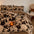 Deluxe Floral Double-Sided Velvet Dual Warmth Bed Sheet Set