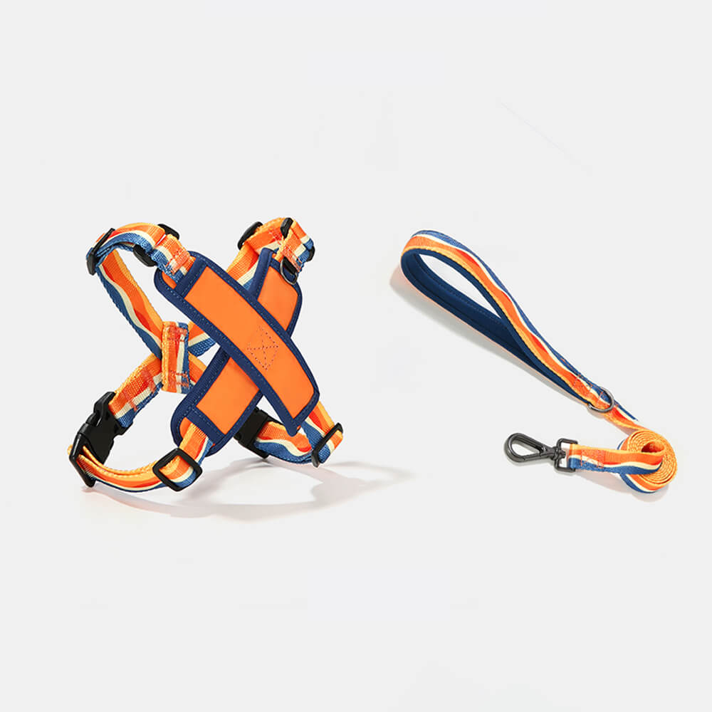 Arnés de perro duradero ajustable en forma de X kit de correa