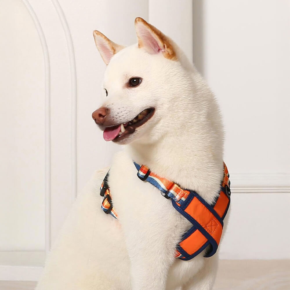 Arnés de perro duradero ajustable en forma de X kit de correa