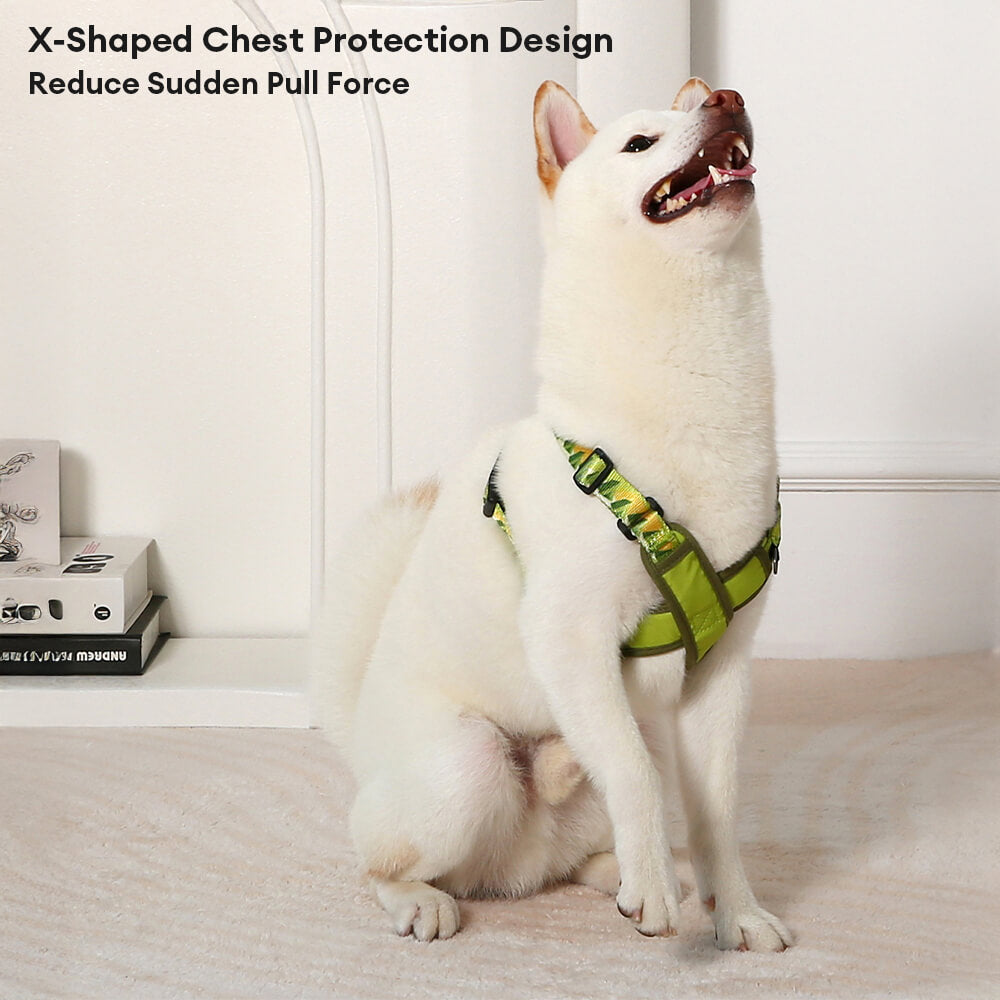 Arnés de perro duradero ajustable en forma de X kit de correa