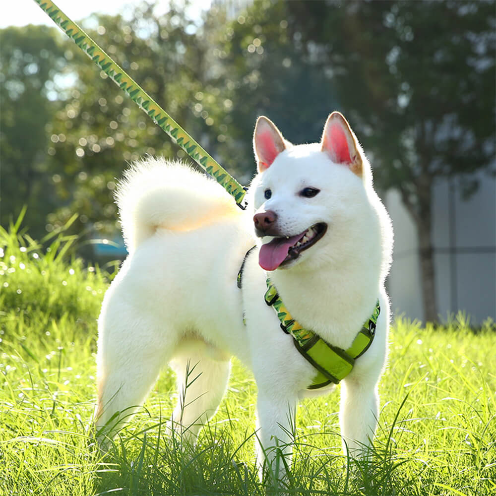 Arnés de perro duradero ajustable en forma de X kit de correa