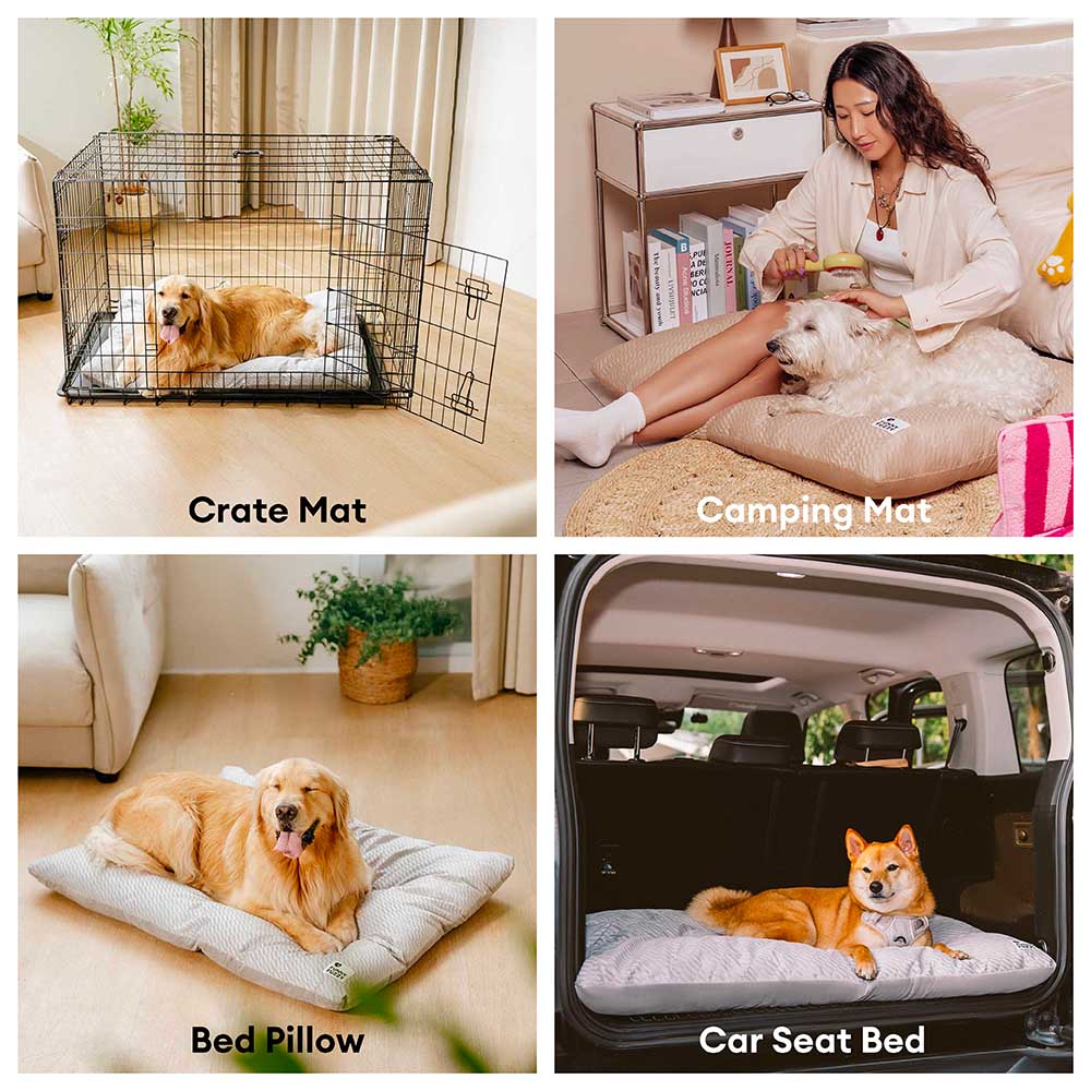 Dual-Sided Cozy Plush Washable Calming Dog Mat