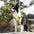 Multifunction Explosion-Proof Anti Pull Harness Medium to Large Dog Harness