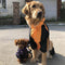 Oxford Fabric Dog Water Dog Cubra de cobertura completa con piernas y capucha