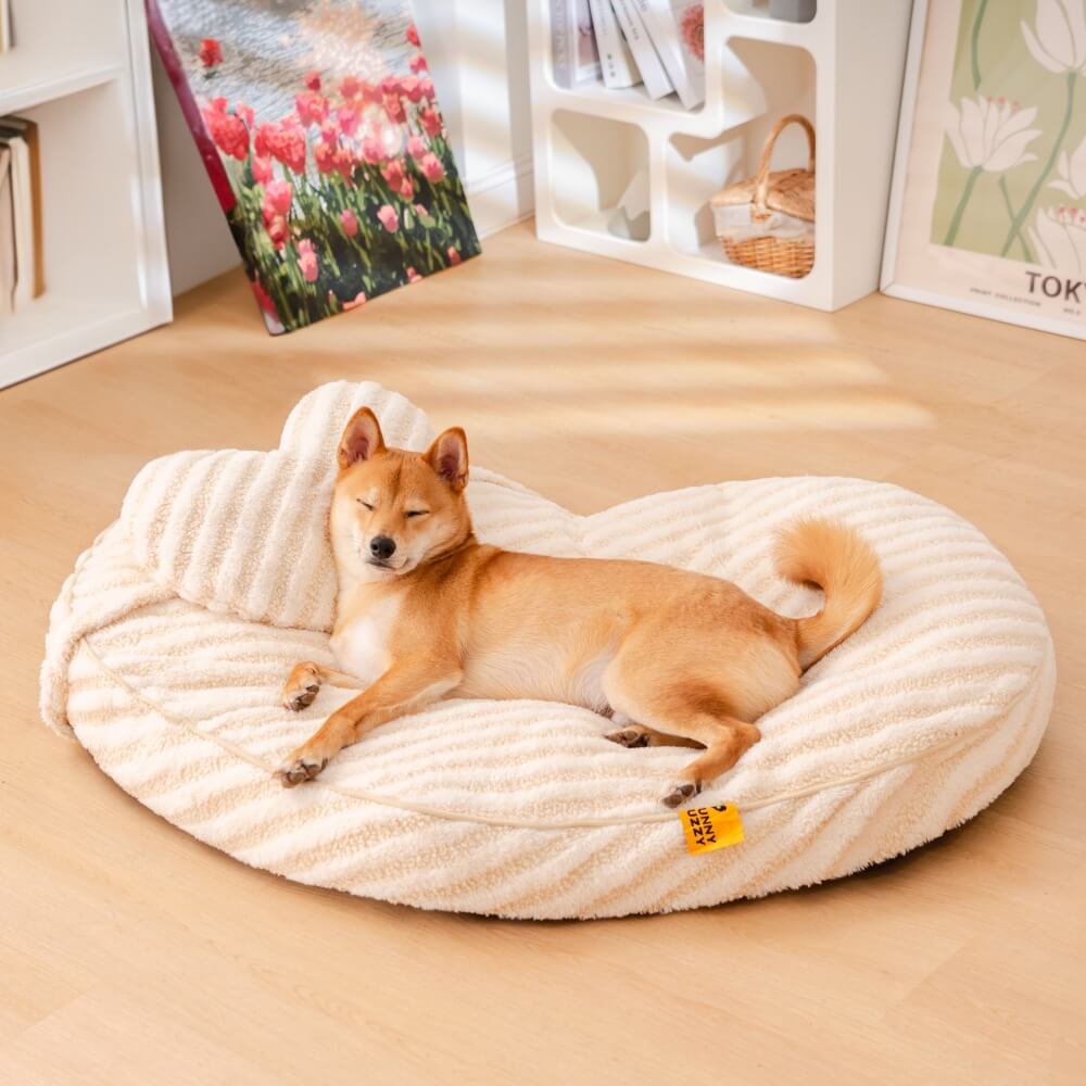 Corazón lujoso y esponjoso calmante con almohada de perro y cama de gato