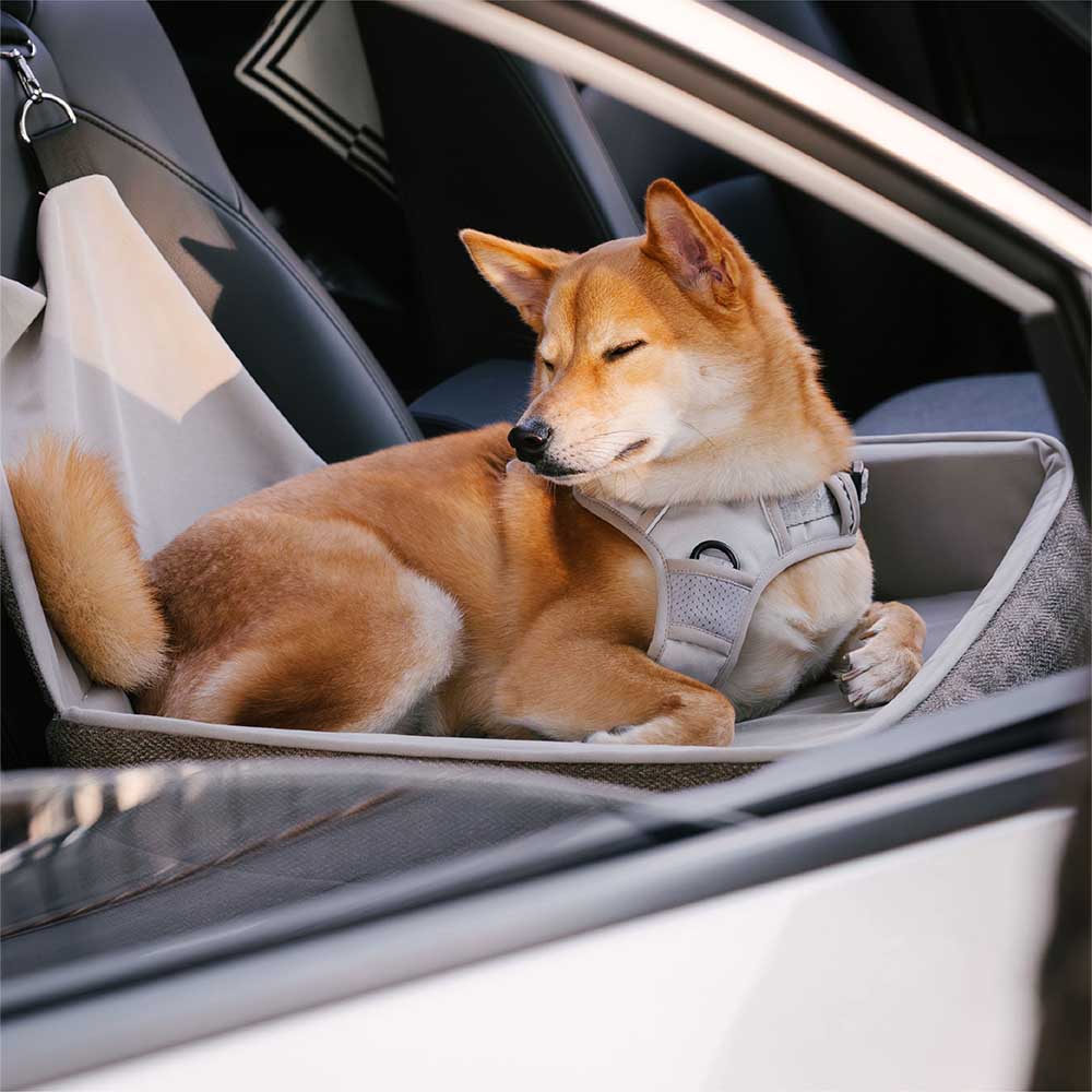 Seguridad de viaje asiento espesado en espesada cama para perros asiento de asiento