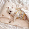 Cozy Embroidered Cotton Pet Pillow Quilt Bed Set
