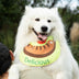 Pet Necklefief impermeable accesorios para perros fríos babero